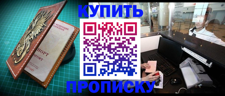 где прописаться в Стародубе